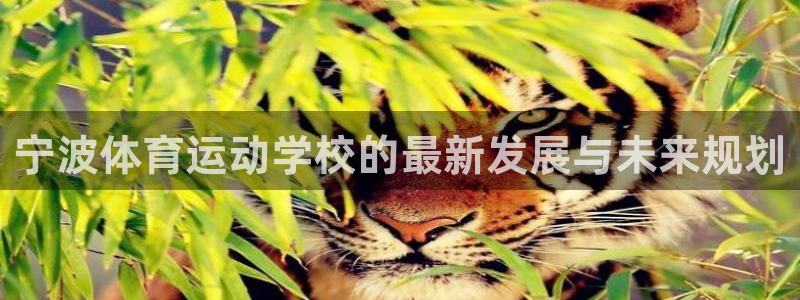 77体育app下载官网