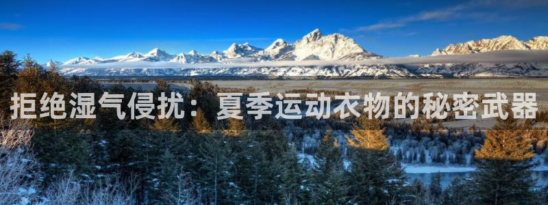 77体育app下载官网