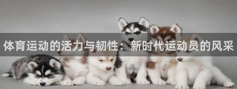 皇冠277体育