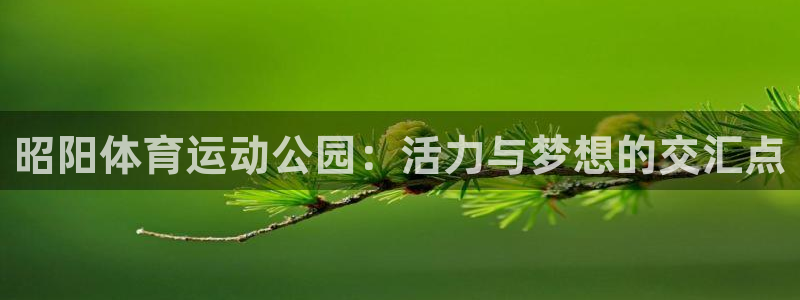 77体育app下载官网