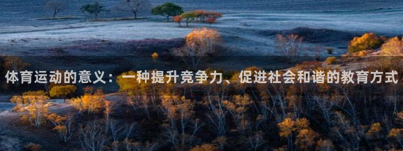 77体育