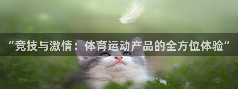 77体育官网