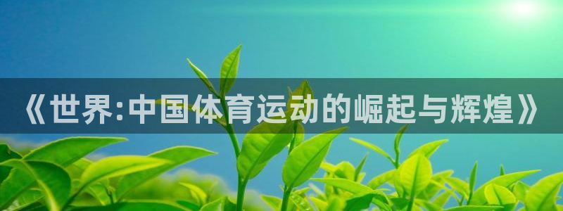 77体育app下载官网
