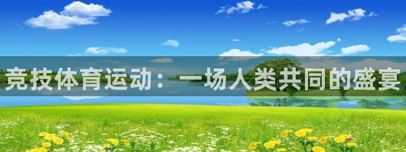 77体育官网