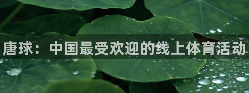 皇冠277体育