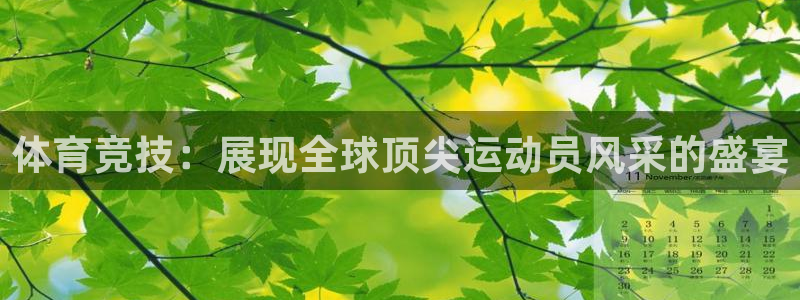 77体育官网