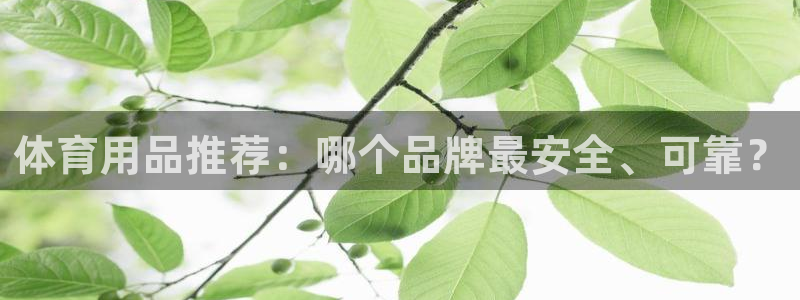 皇冠277体育