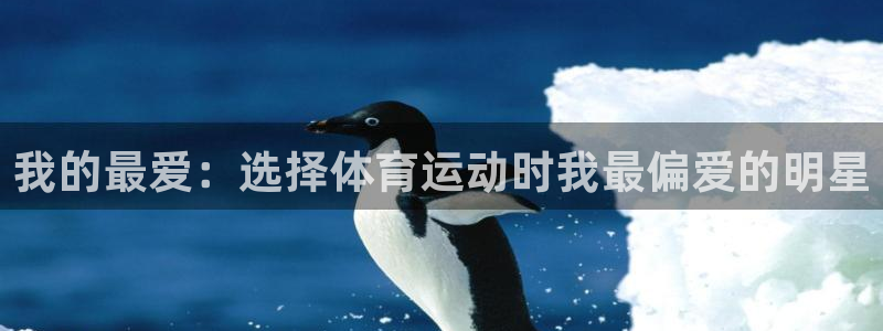 77体育app下载官网
