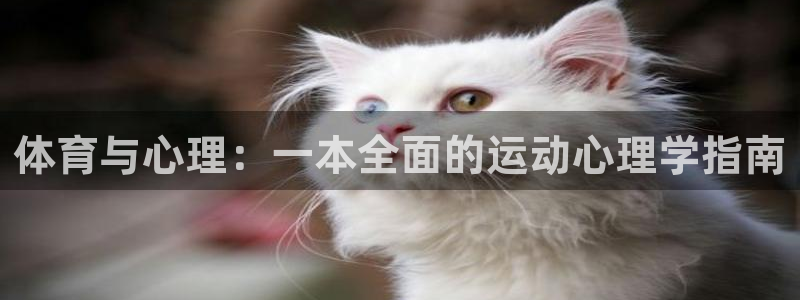 77体育