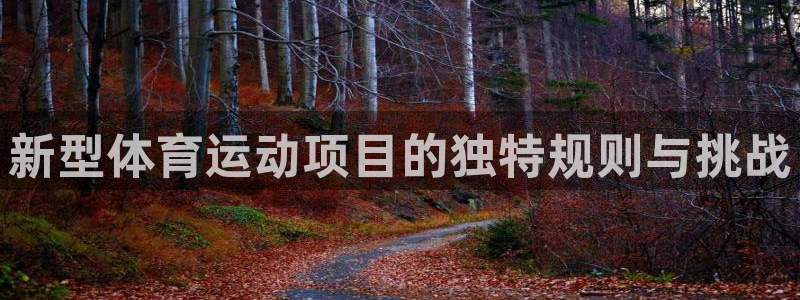 77体育